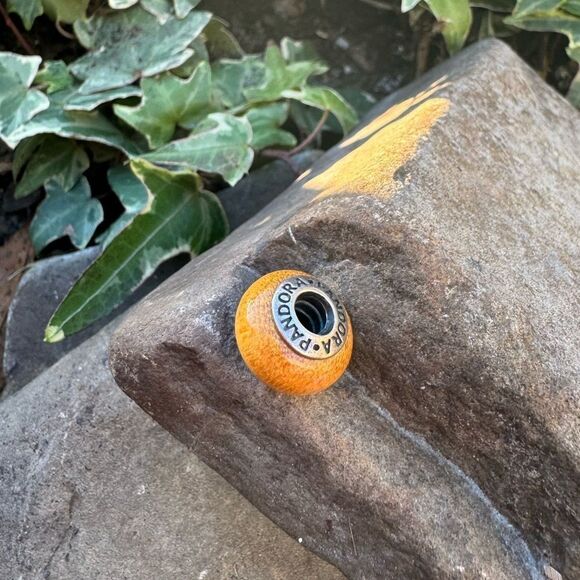 Authentic PANDORA Pau Amarelo Wood Charm With Sterling Silver Core - Picture 3 of 5
